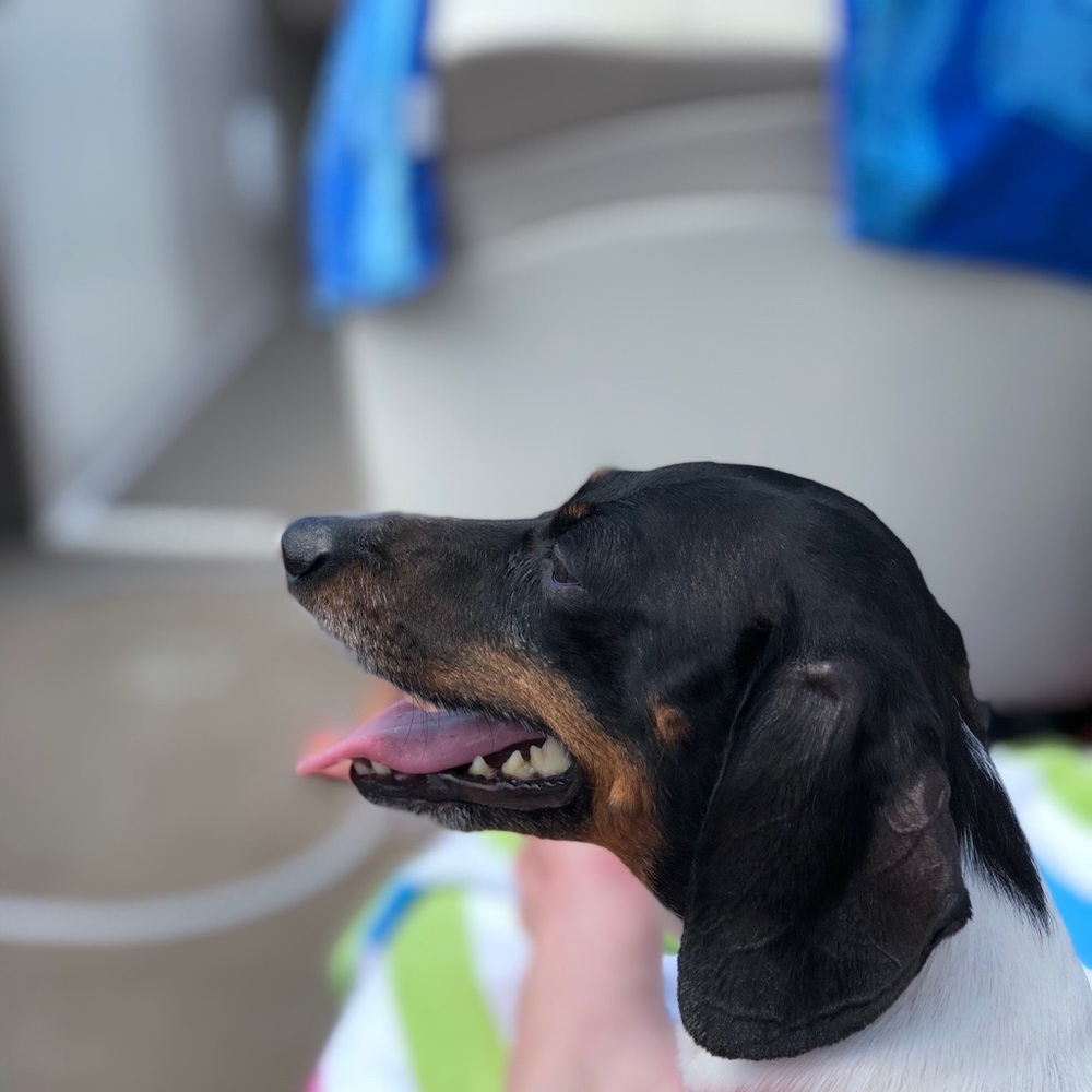 Meet your Posher, Kyle